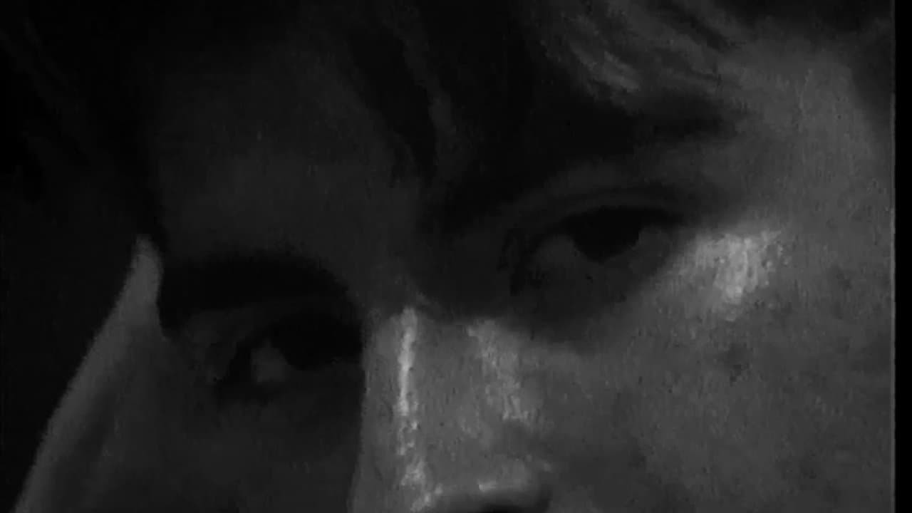 Regularの背景画像