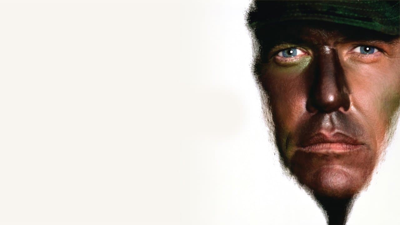 山猫は眠らないの背景画像