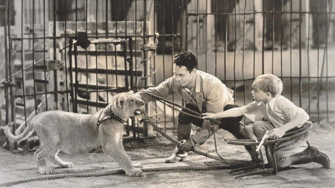 The Big Cageの背景画像