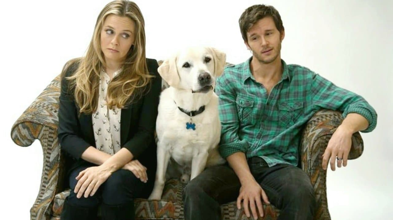 Who Gets the Dog?の背景画像