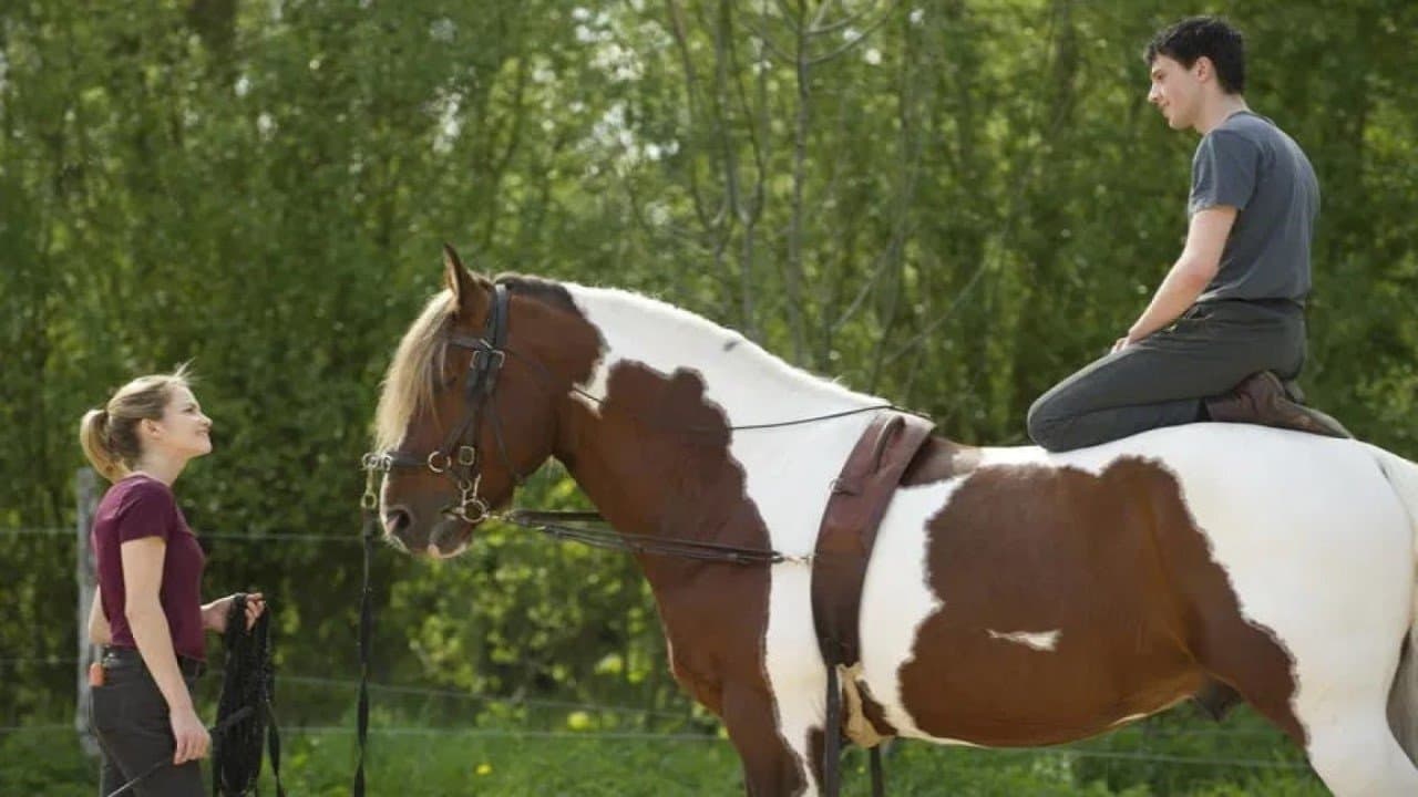 Je sais tomberの背景画像