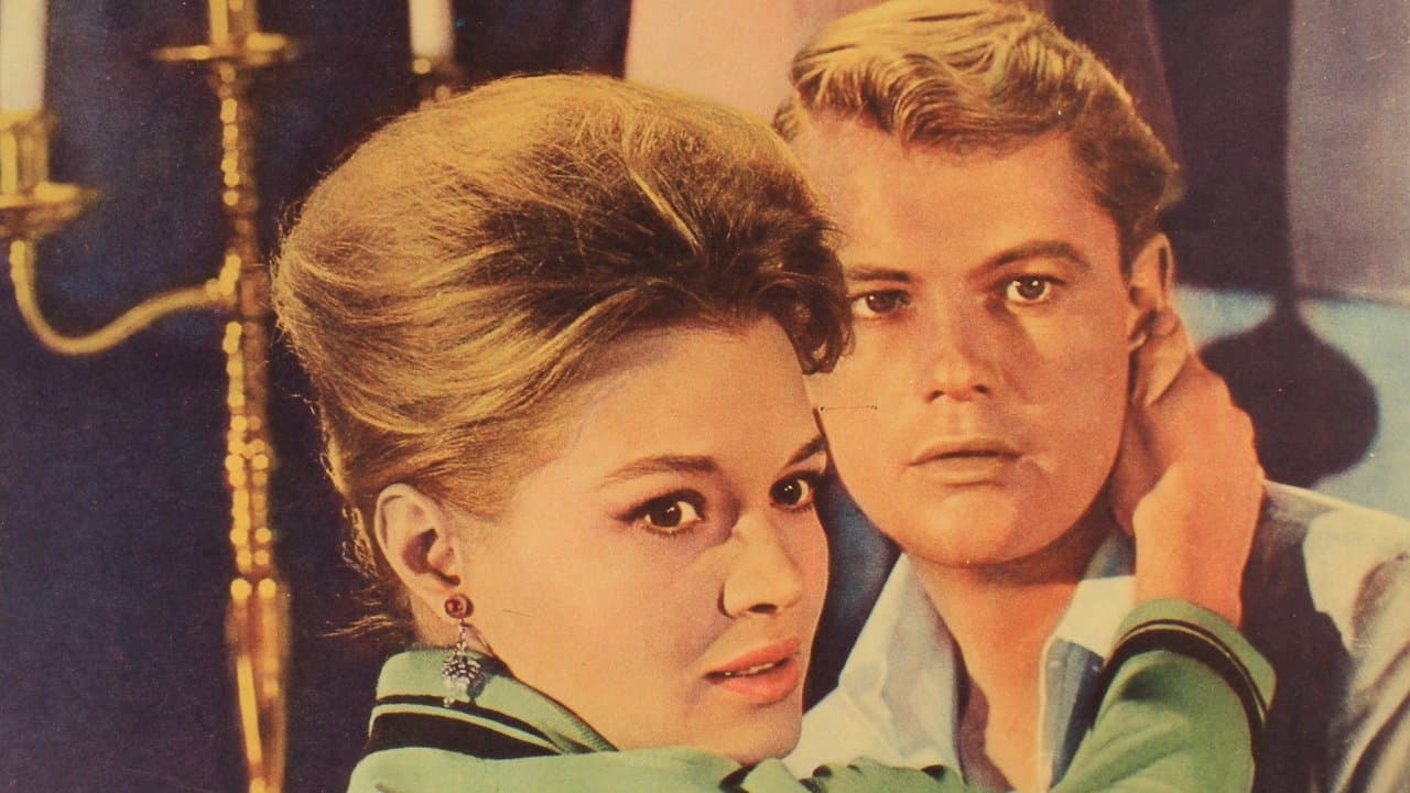 Rome Adventureの背景画像