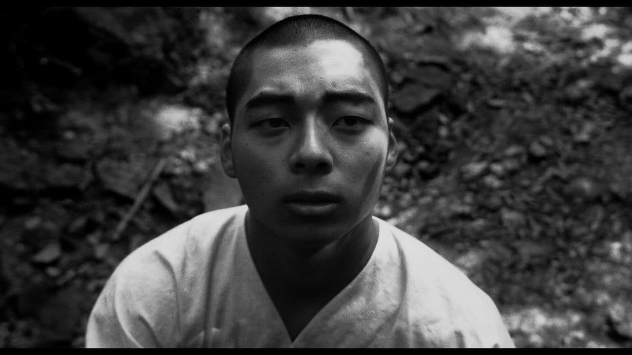 Shiroの背景画像