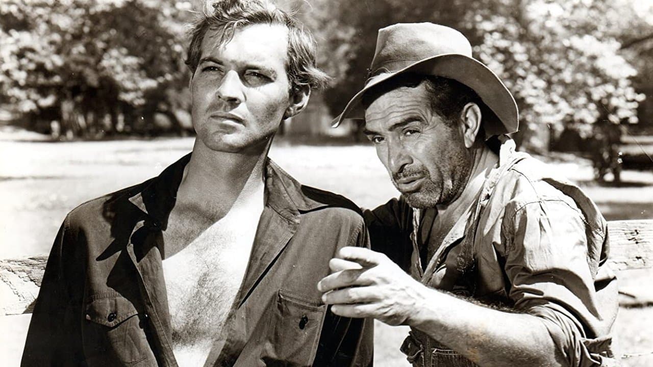 The Southernerの背景画像