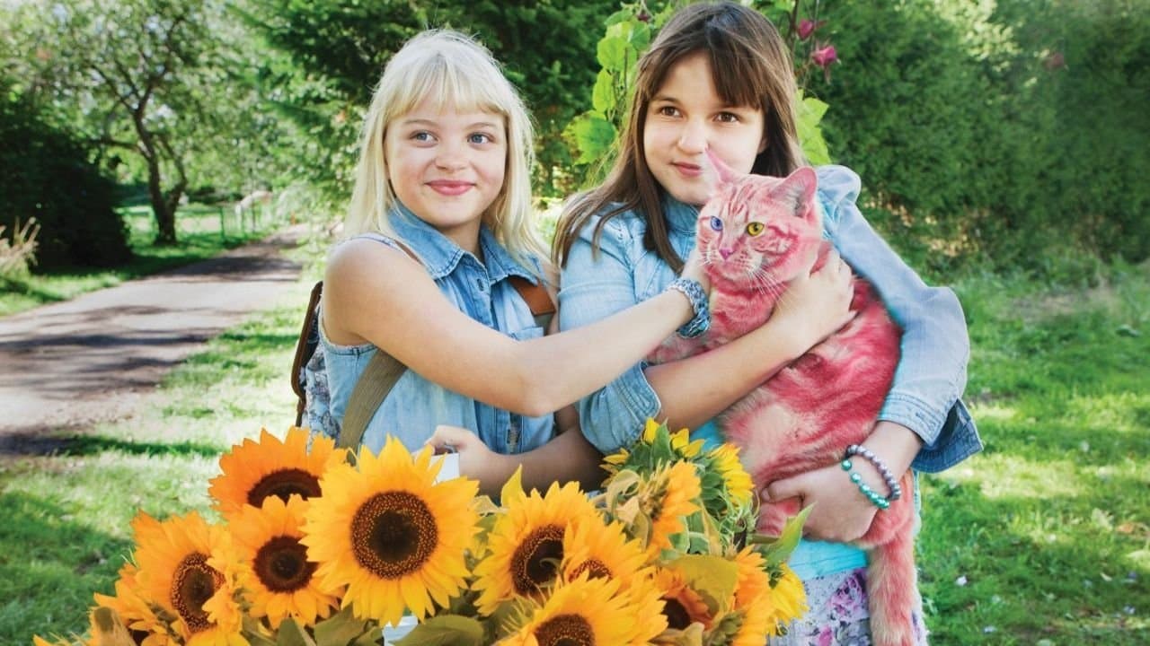 オンネリとアンネリとひみつのさくせんの背景画像