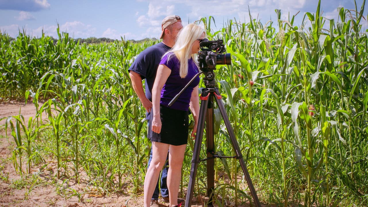 Fields of Goldの背景画像