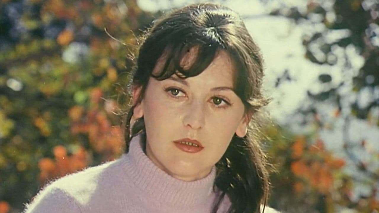 不是为了爱情の背景画像