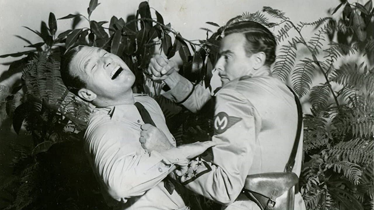 Forced Landingの背景画像