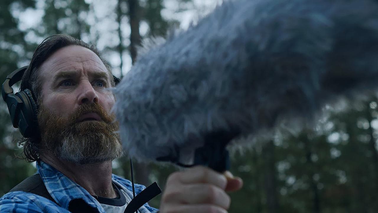 Within the Pinesの背景画像