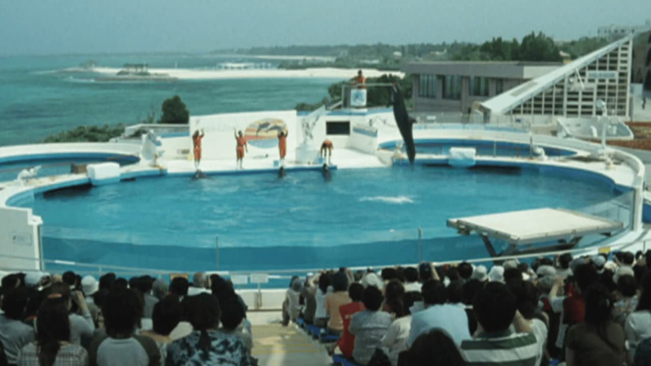 ドルフィンブルー フジ、もういちど宙への背景画像