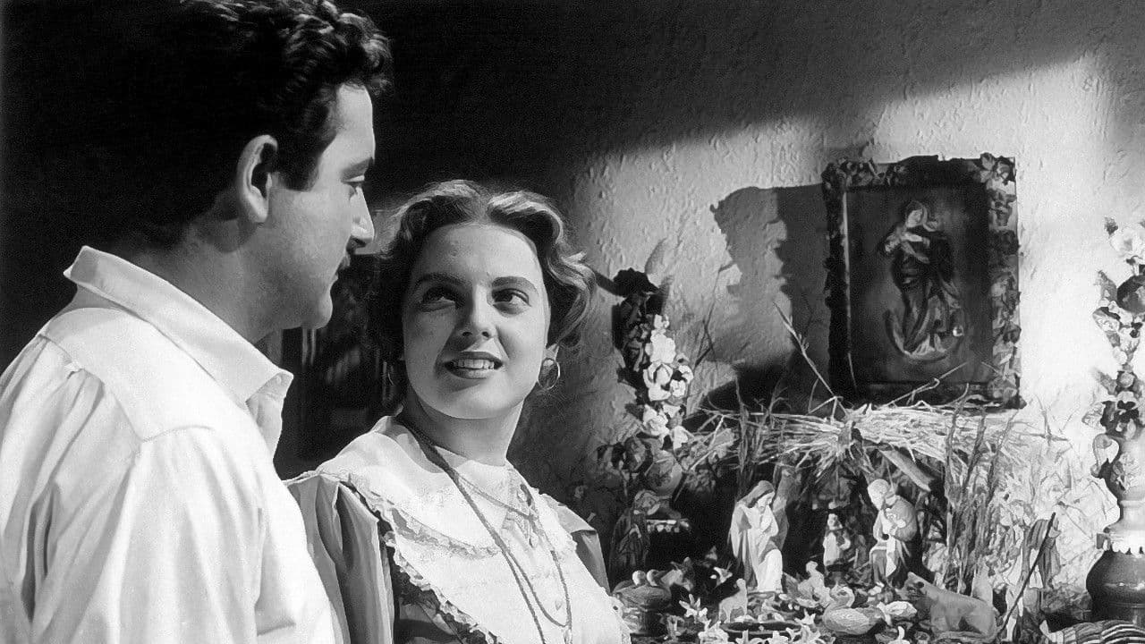 Chaimiteの背景画像