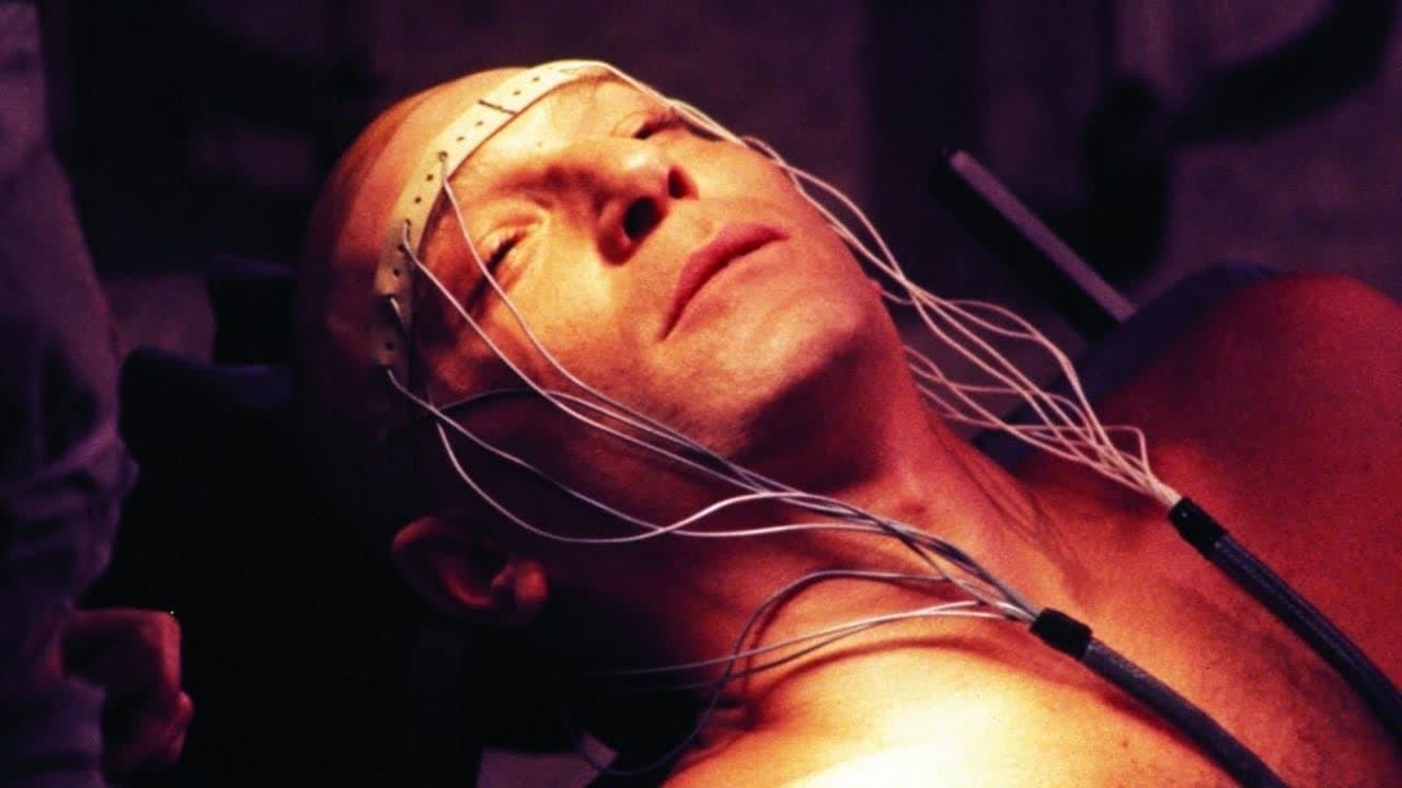 The Terminal Manの背景画像