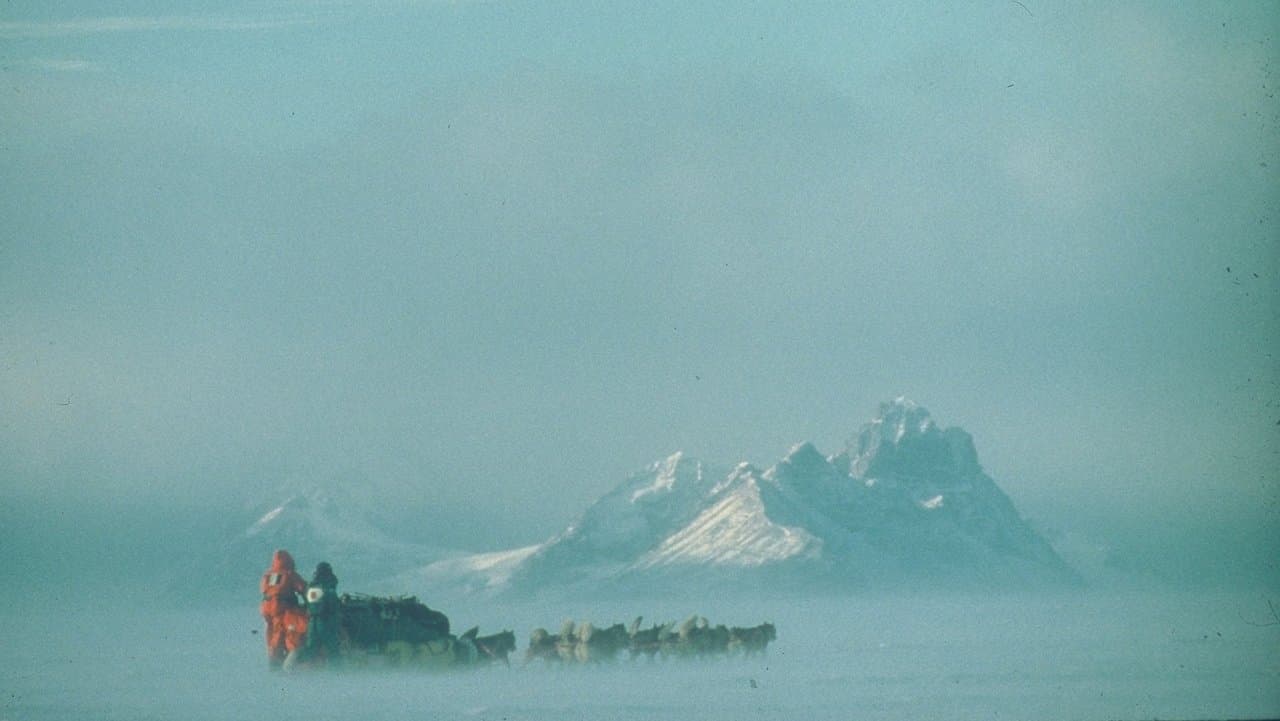 Au Sud du Sudの背景画像