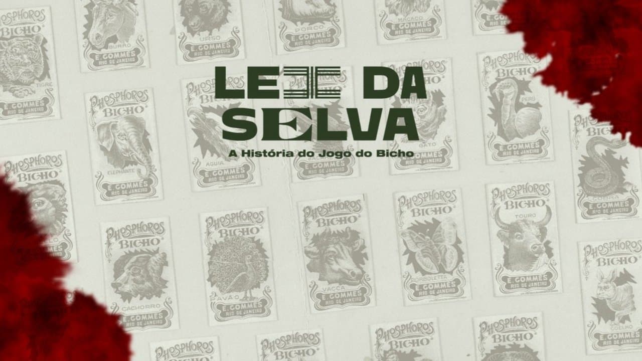 Lei da Selva: A História do Jogo do Bichoの背景画像