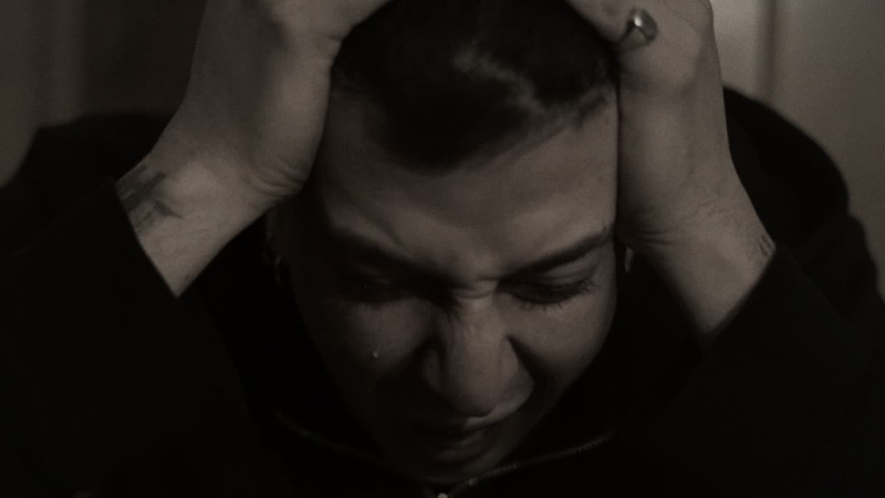 Vive dentroの背景画像