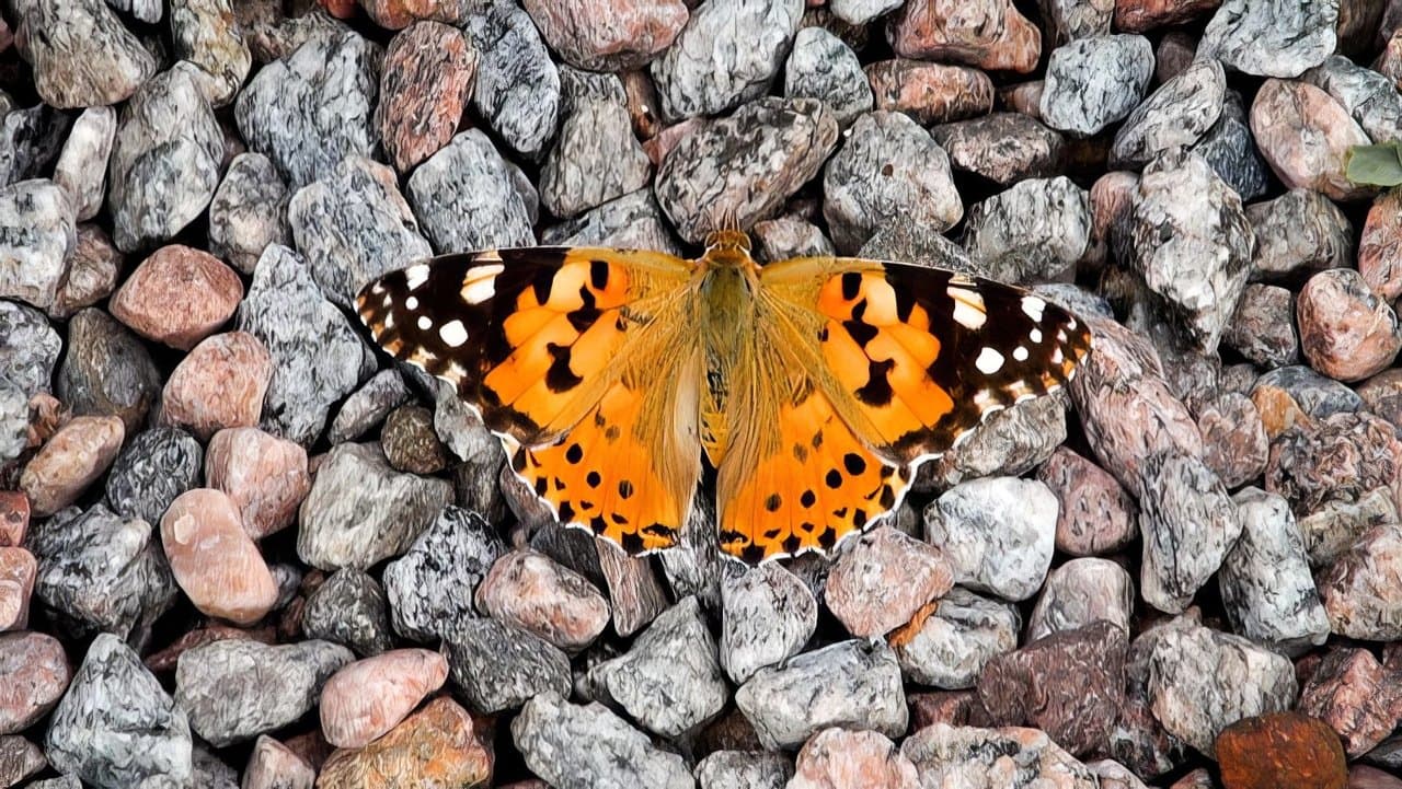 Godhetenの背景画像