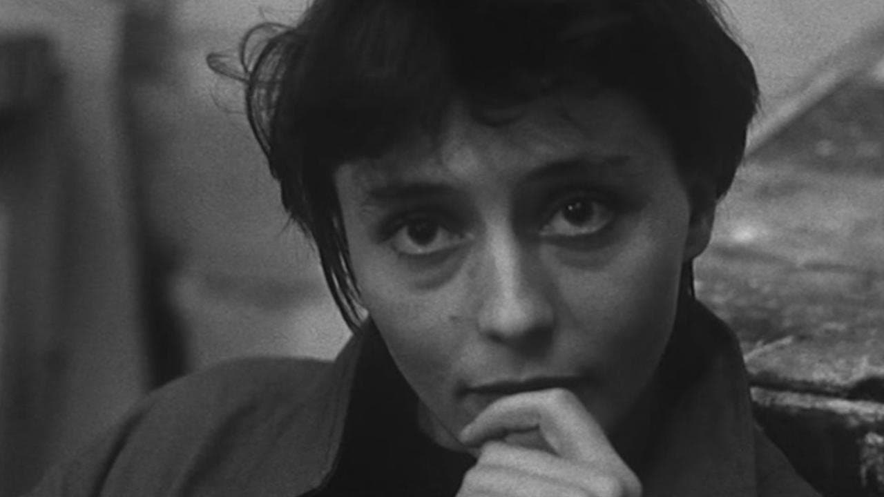 Elle a passé tant d'heures sous les sunlights...の背景画像