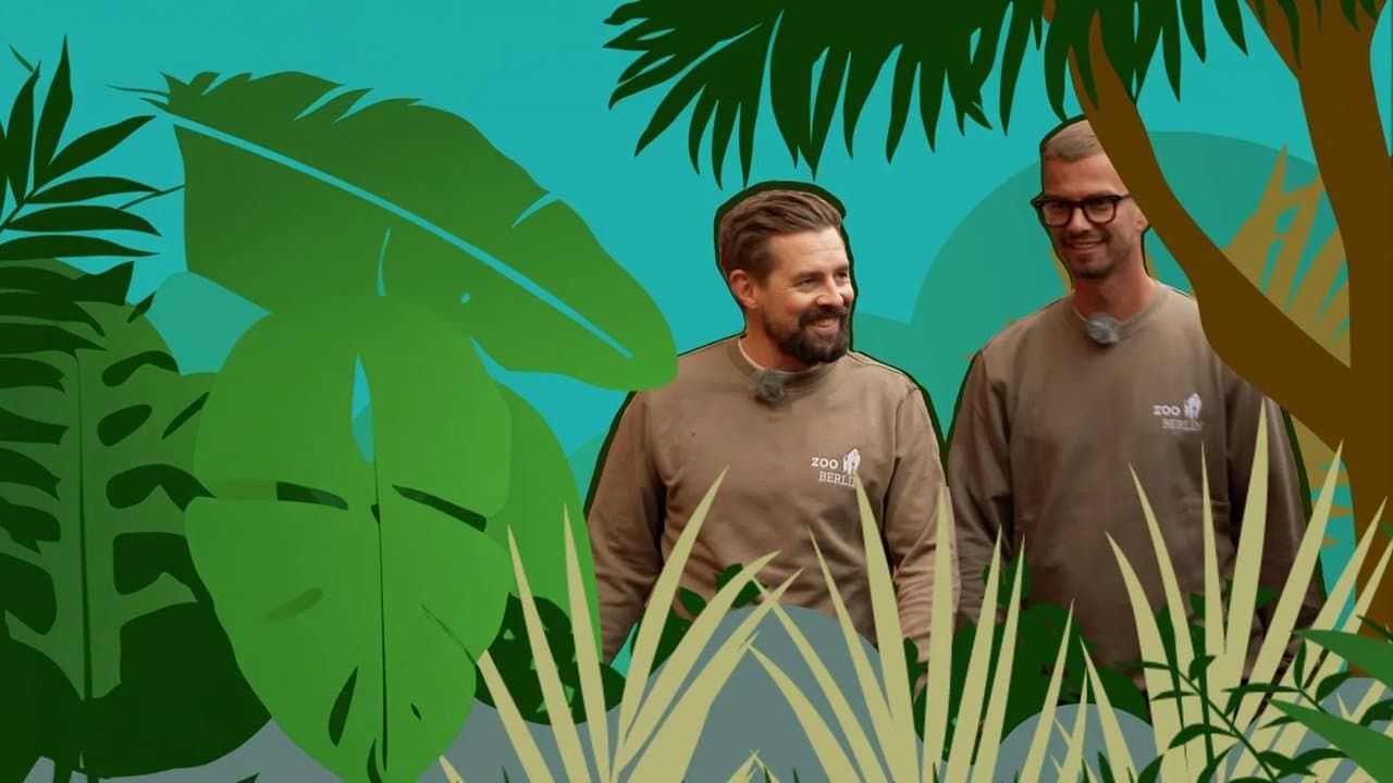 Joko & Klaas im Zooの背景画像