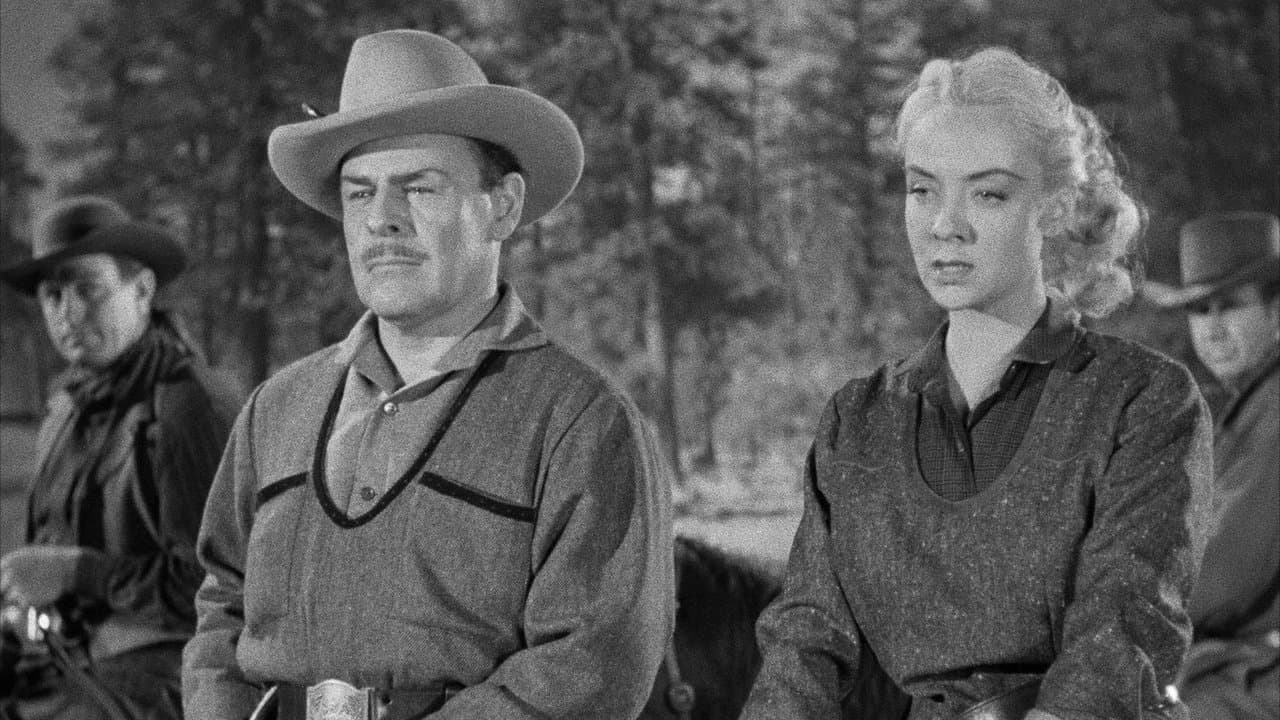 Woman They Almost Lynchedの背景画像