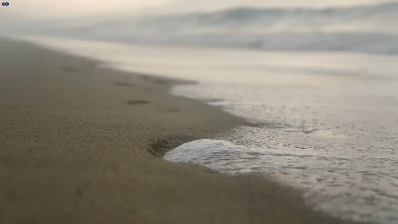 爱的应许之地の背景画像