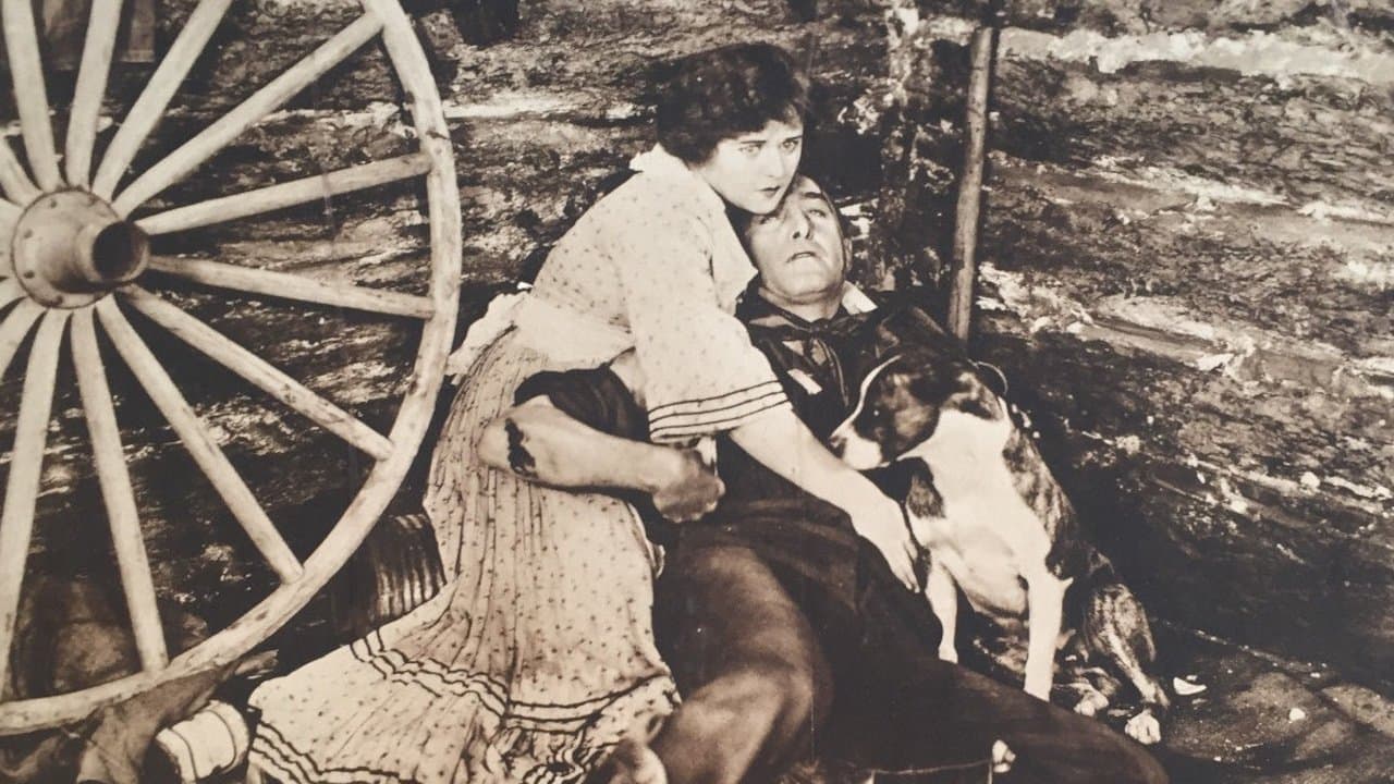 'If Only' Jimの背景画像