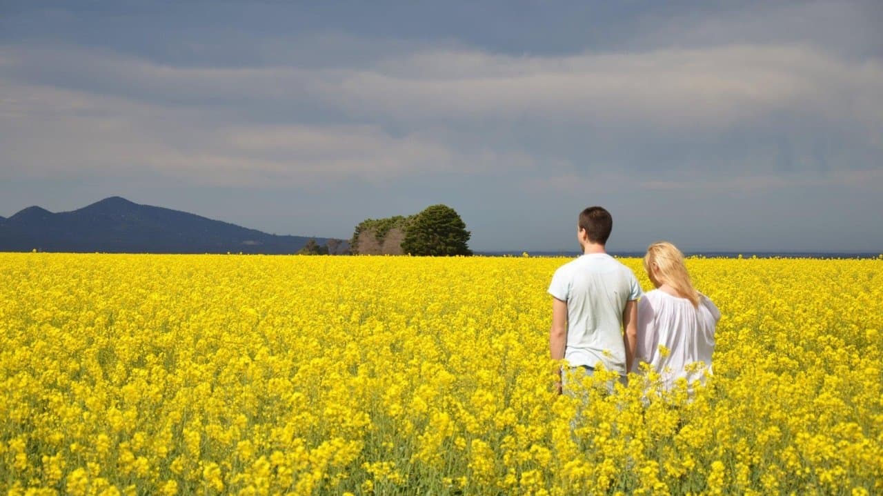 Planesの背景画像