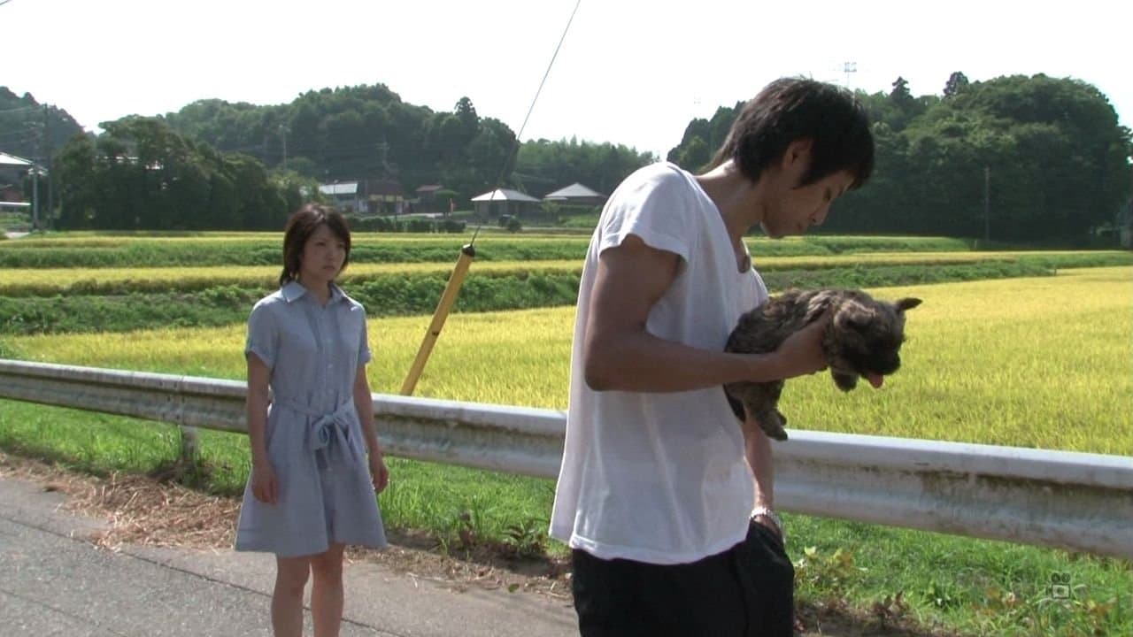 愛するとき、愛されるときの背景画像