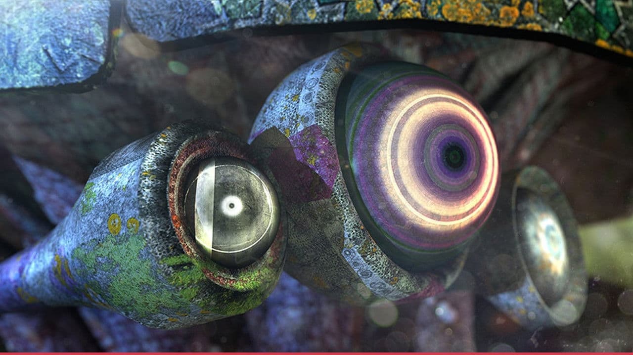 Criteria Oneの背景画像