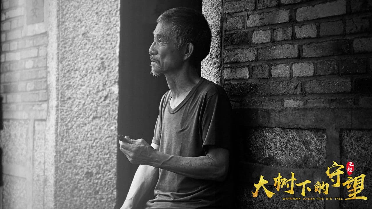 大树下的守望の背景画像