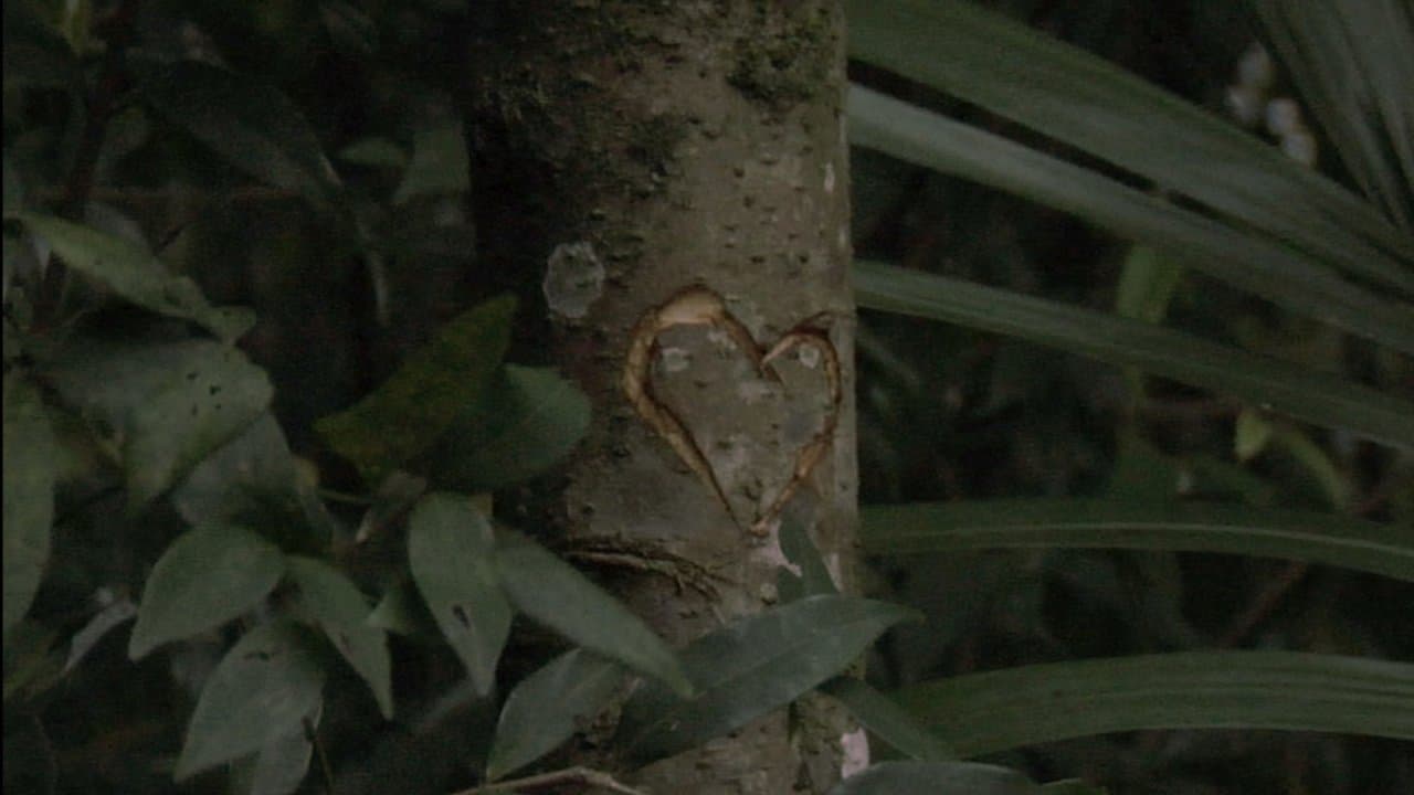 Sofia Foiの背景画像