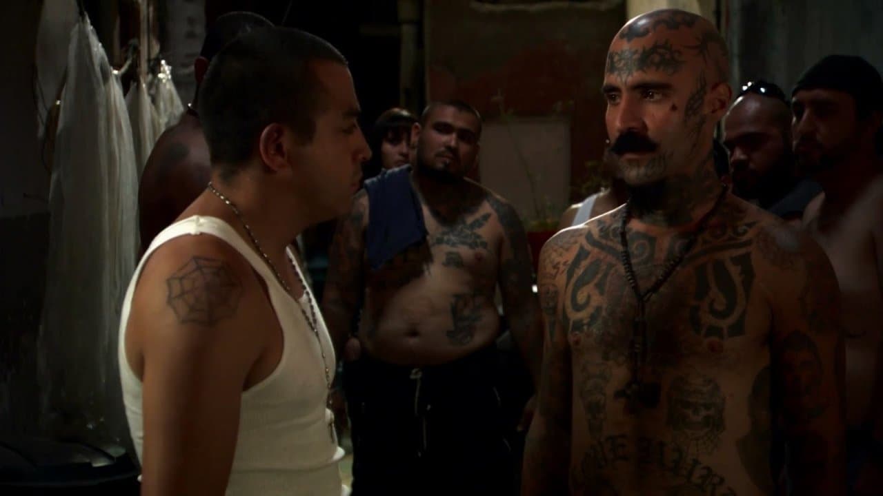 Destino Maraの背景画像