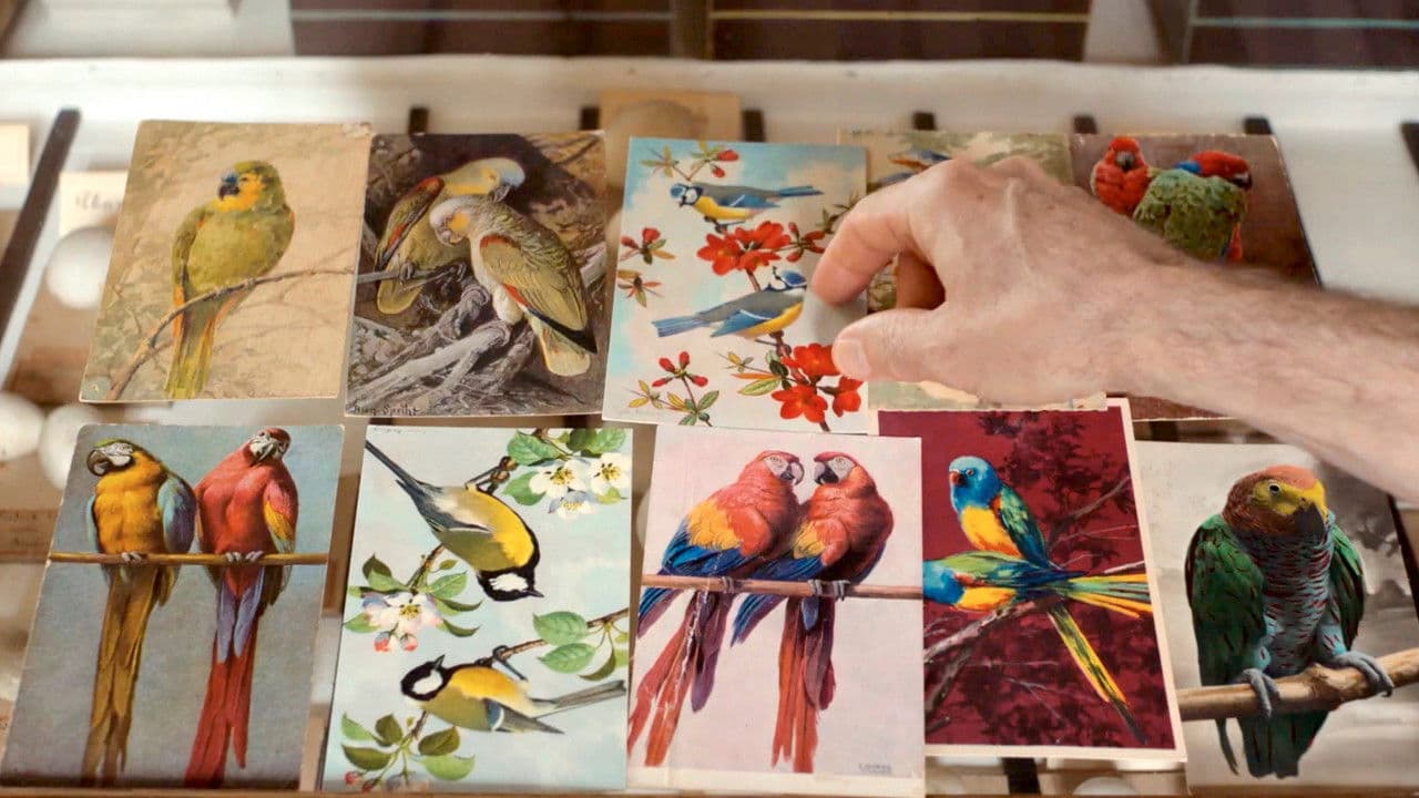 Langue des oiseauxの背景画像