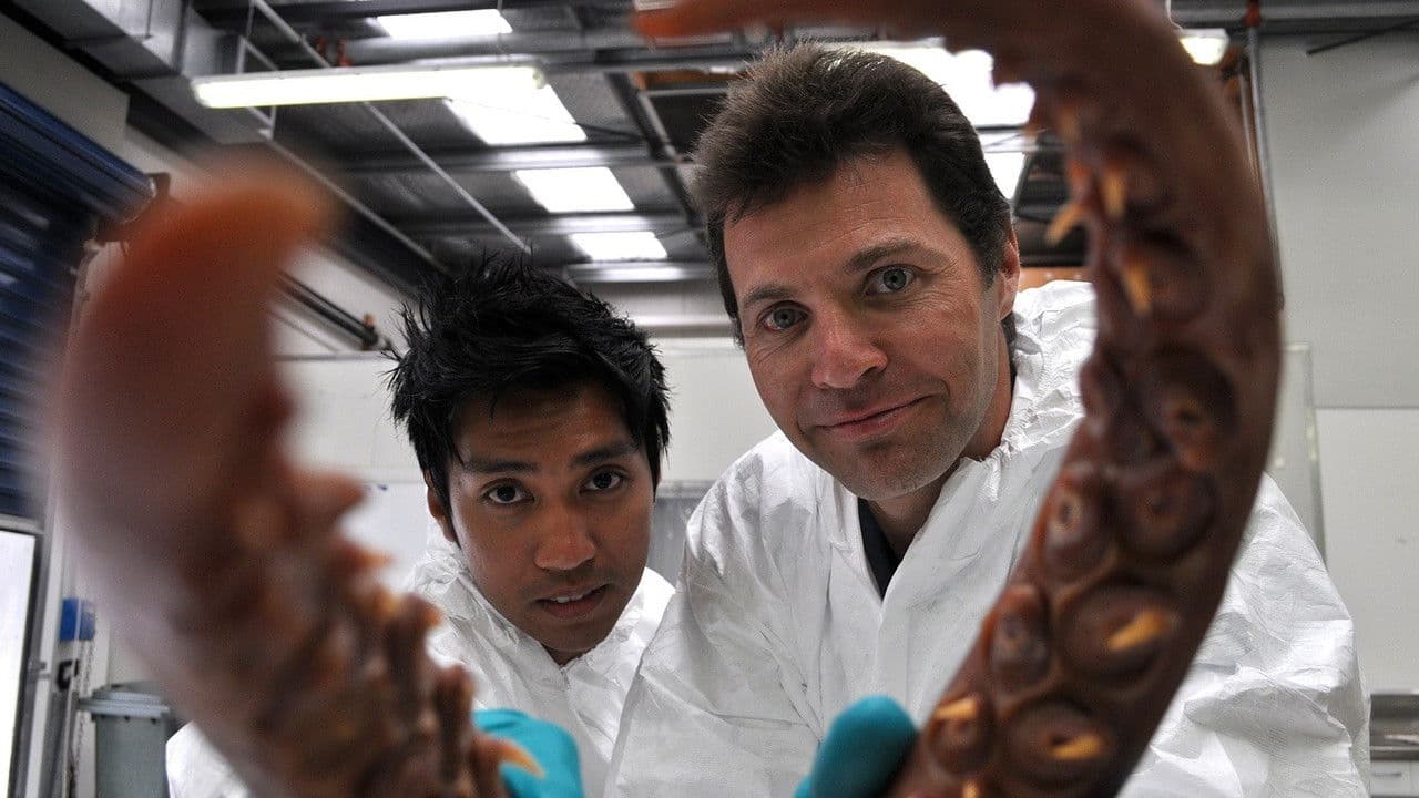 Beast Legendsの背景画像