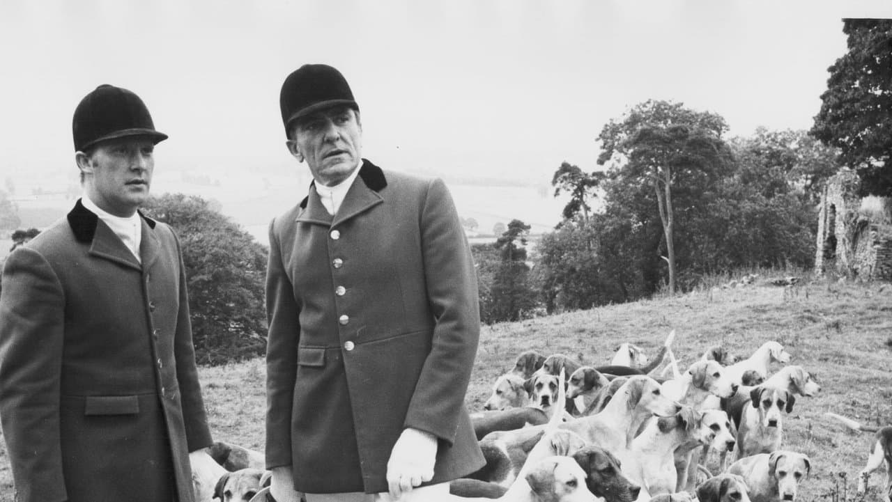 The Belstone Foxの背景画像