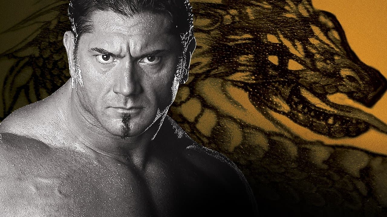 WWE New Year's Revolution 2005の背景画像