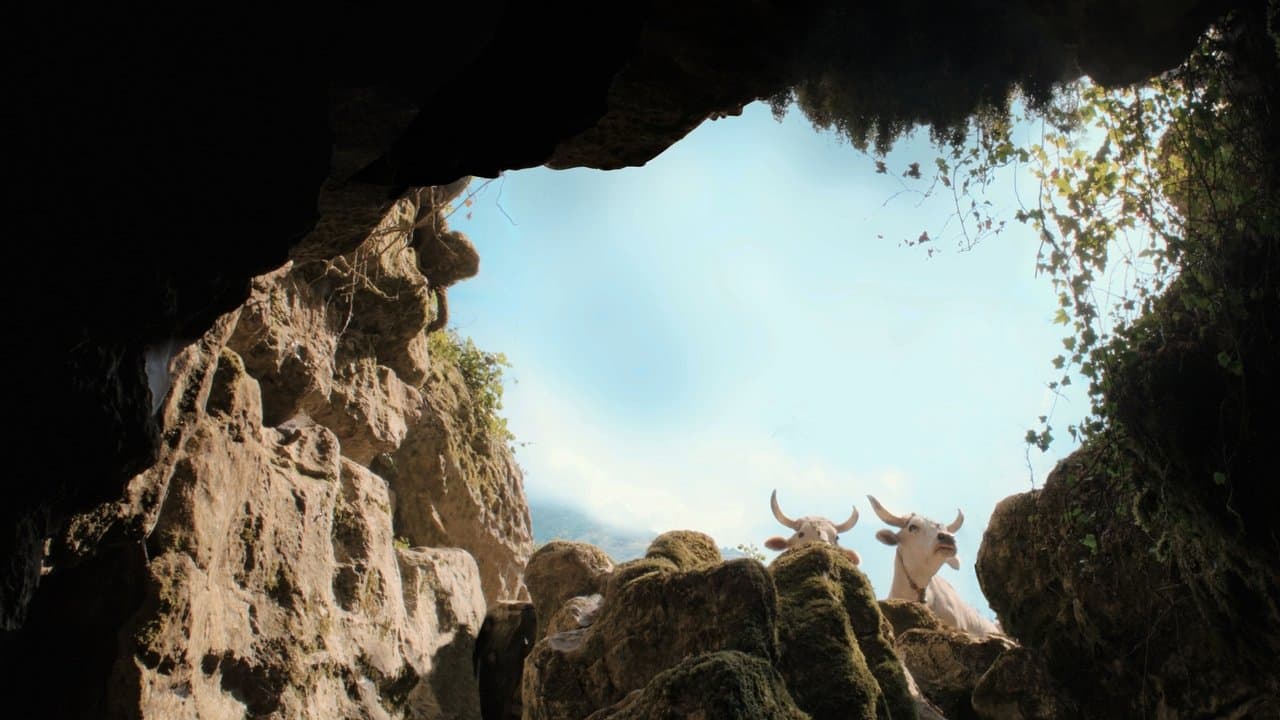 Il bucoの背景画像