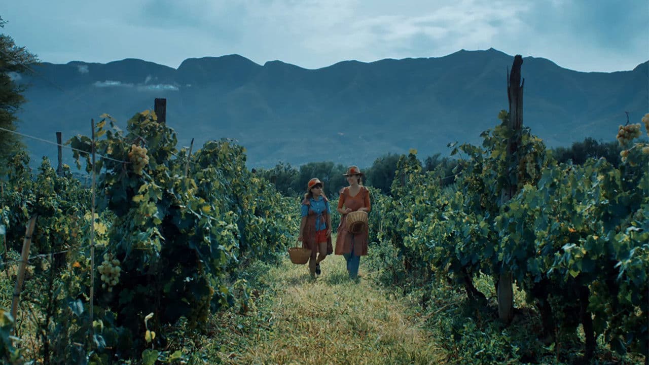 La Casa del Surの背景画像