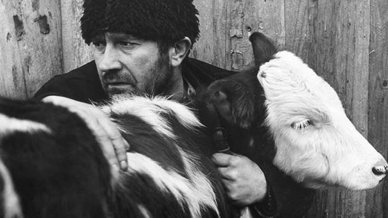 Pohodの背景画像