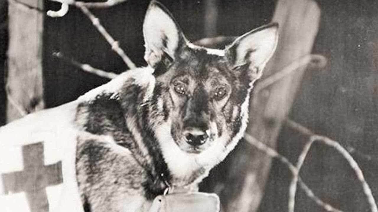 Find Your Manの背景画像