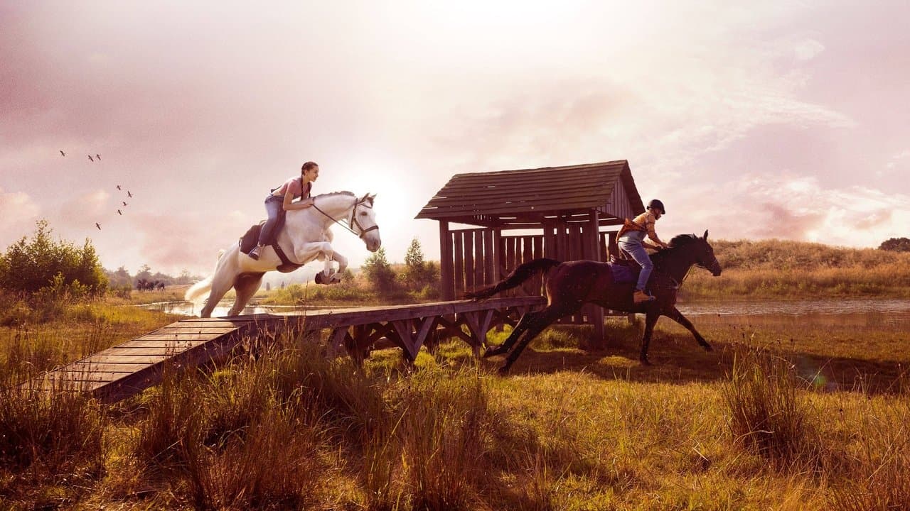 Silverstarの背景画像