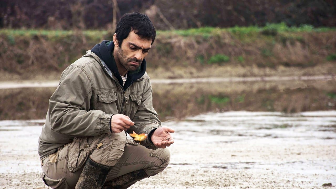 لردの背景画像