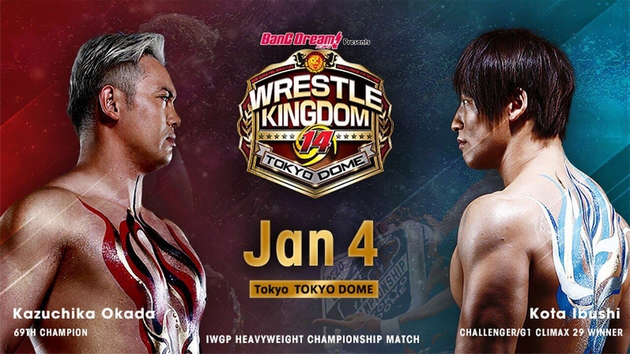 NJPW Wrestle Kingdom 14: Night 1の背景画像