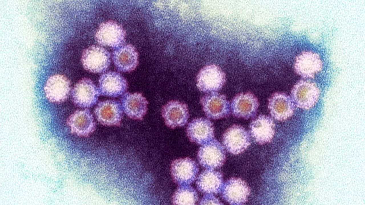 Winter Viruses and How to Beat Themの背景画像