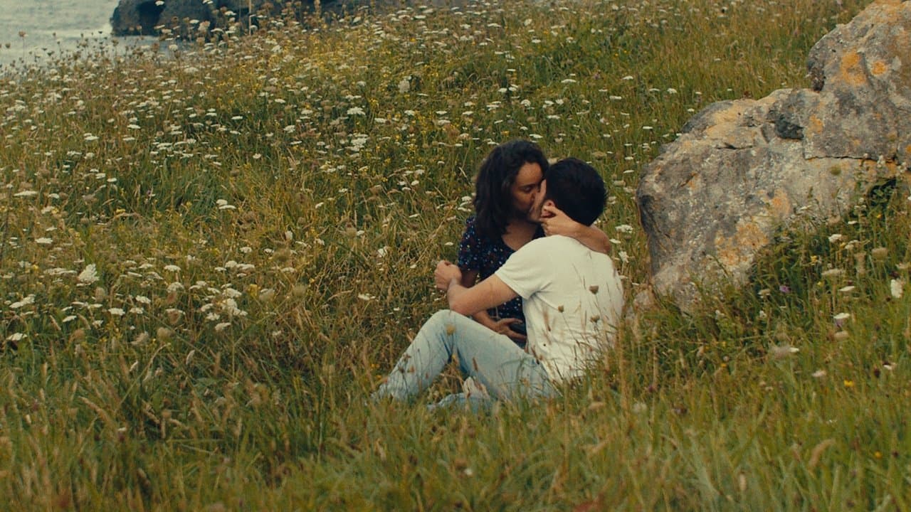 Notas sobre un veranoの背景画像