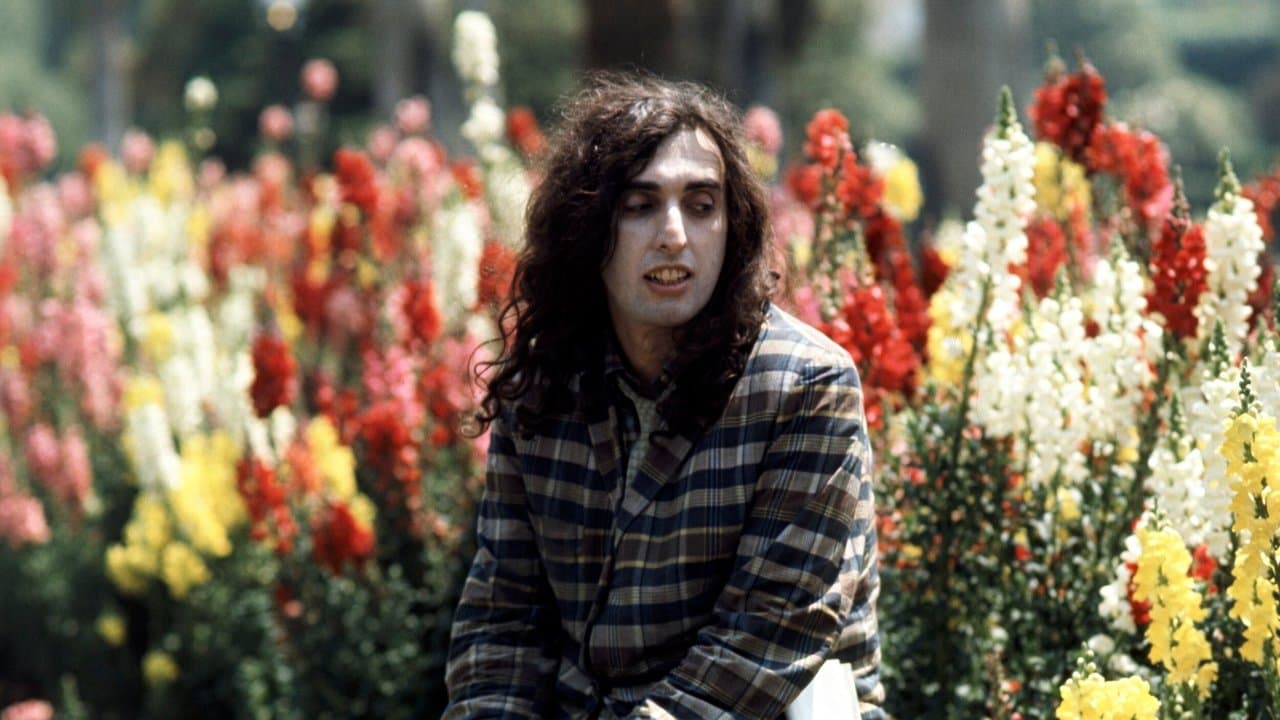 Tiny Tim: King for a Dayの背景画像