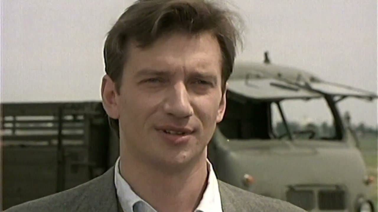 Letící delfínの背景画像