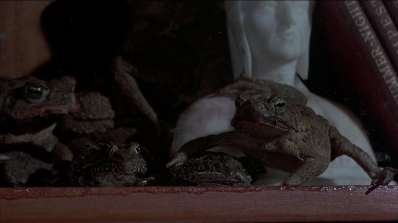 Frogsの背景画像