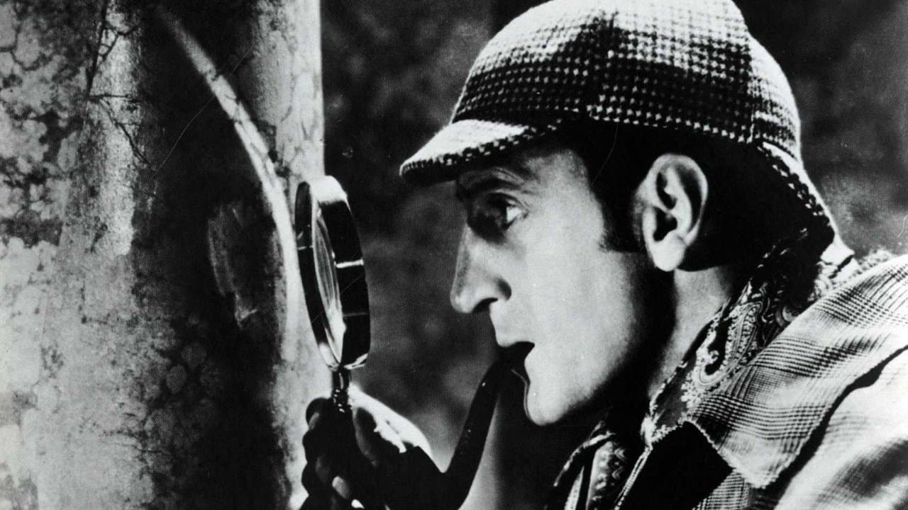 The Hound of the Baskervillesの背景画像