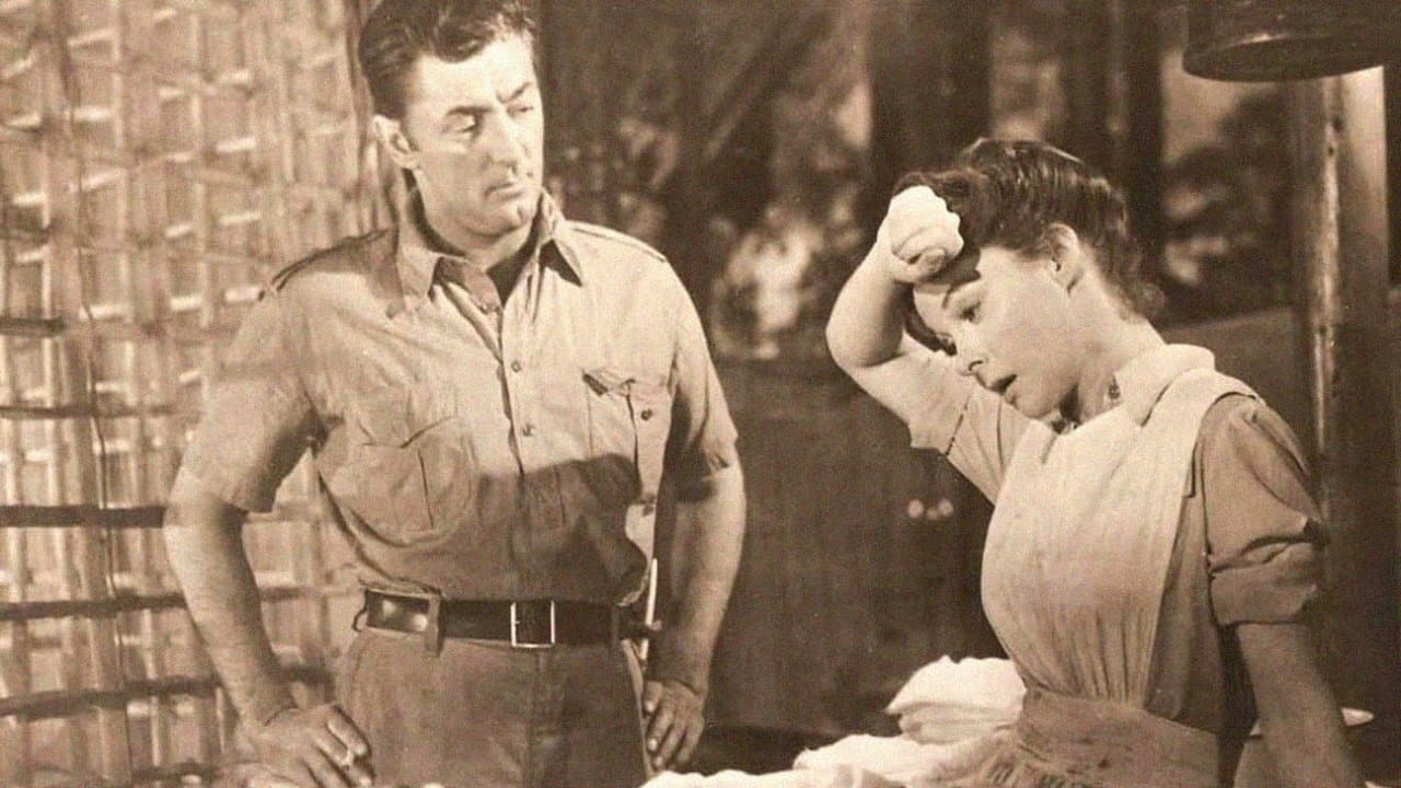 White Witch Doctorの背景画像