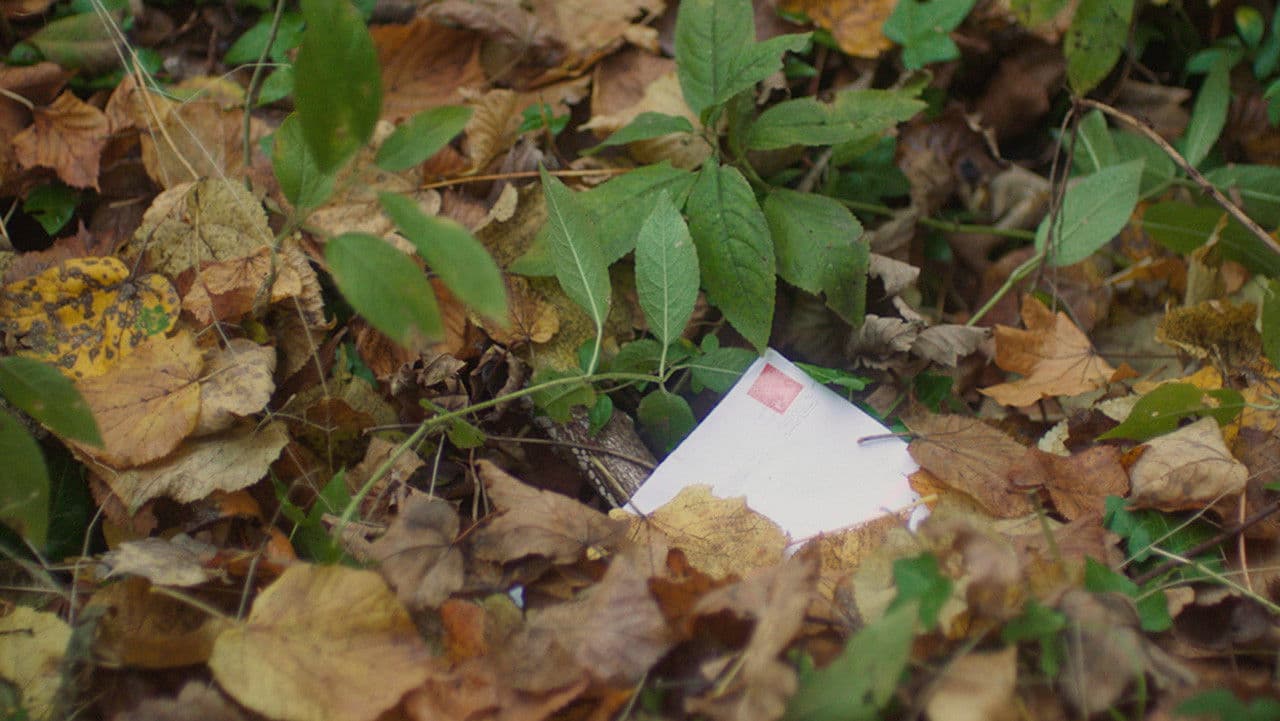 Papercutの背景画像